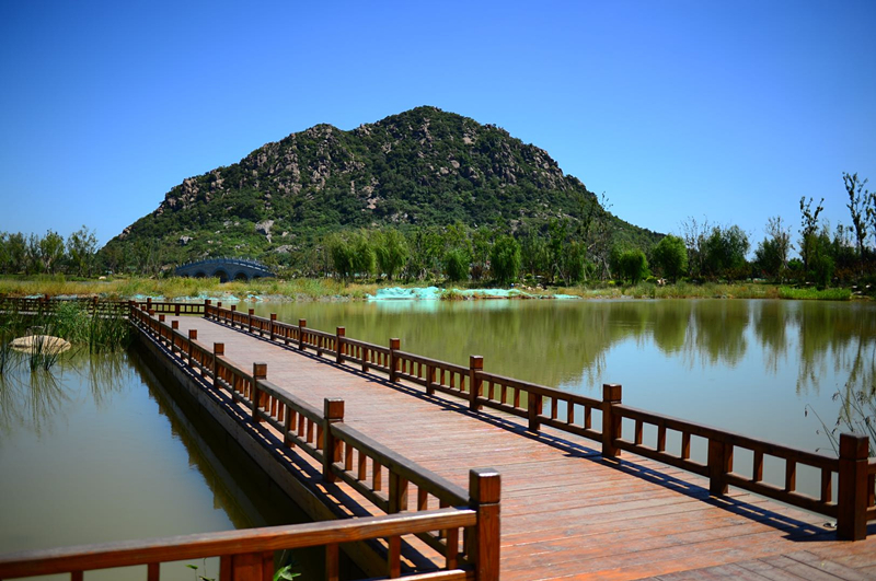 濟(jì)南市華山洼生態(tài)修復(fù)及功能提升項(xiàng)目景觀綠化